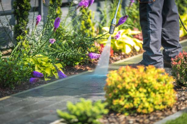 Best Fence Cleaning  in Union City, TN