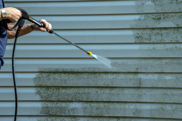 Boat and Dock Cleaning in Union City, TN